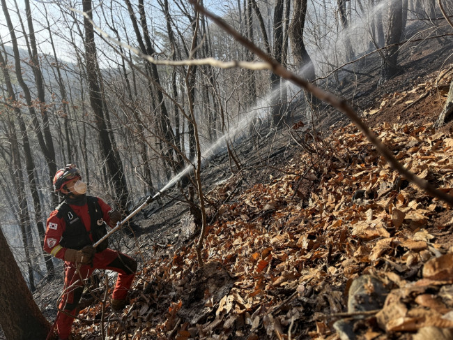 평창 산불 현장의 진화작업