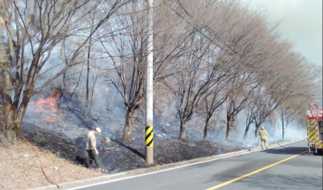 화재가 난 무주 야산