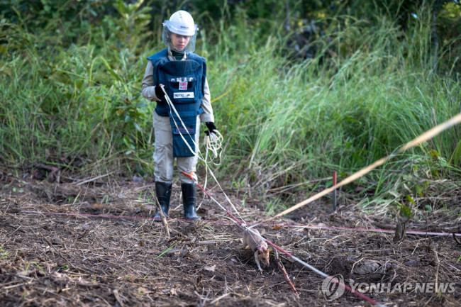 지뢰를 탐지하는 아프리카 주머니쥐 '로닌'