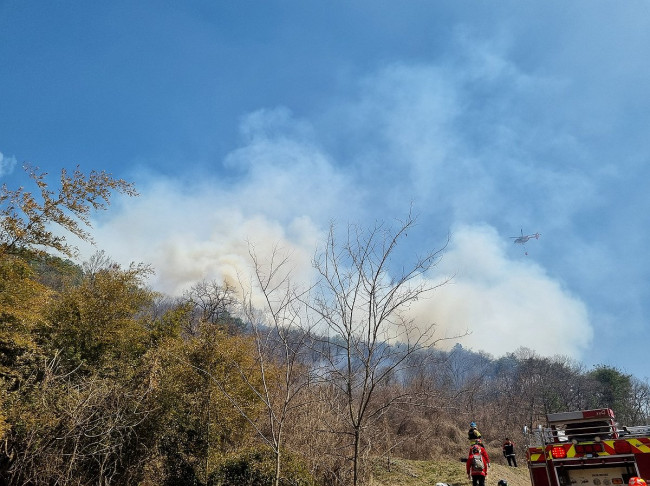 옥천 조천리에 난 산불