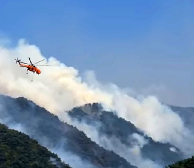 인제 산불 현장 투입된 진화 헬기