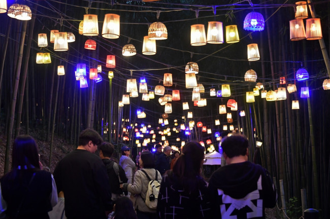 담양 대나무축제 야간개장