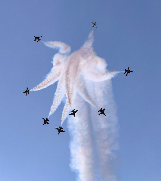 삼척장미축제 대미 장식한 블랙이글스 에어쇼