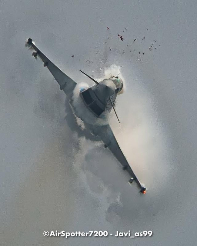 갈매기와 충돌한 전투기